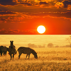 Dj Zinhle Ft. Busiswa - My Name Is (Renato Xtrova Remix)