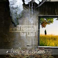 FIRST AGAINST THE WALL - DELUSION