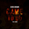 Chris Brown - Came To Do Ft Akon