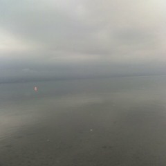 See Me Through - Josh Ritter Cover