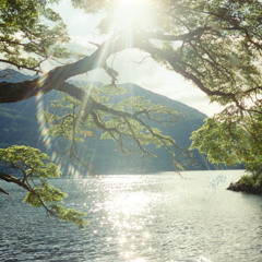 christiane mindfulness