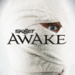 Skillet - Hero (8-Bit)