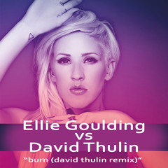 Burn (David Thulin Remix) by Ellie Goulding