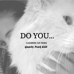 Do You Like... (Cashmere Cat Remix) Gnarly Nark Edit