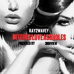 Bitches Love Assholes (Prod. 3rdiview)