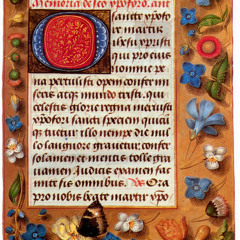 Wedding of the Foxes