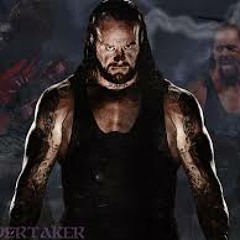 Undertaker Ciggy X Rex
