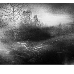 minim (stereo version 2014)