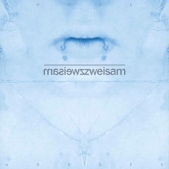 Zweisam