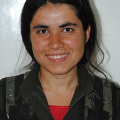 Arîn Mîrkan Helbest