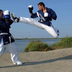 Capsule Yoseikan Budo Bruxelles. Première Partie.