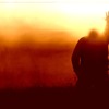 I Surrender Hillsong Live Cornerstone 2012 Dvd Album Lyrics Subtitles Best Worship Song Mp3