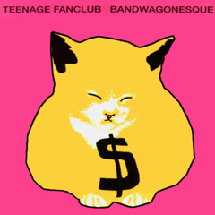 Teenage Fanclub - What You Do To Me (Cover)