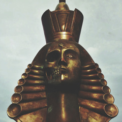 The Orange Drop - Wizard Sleeve