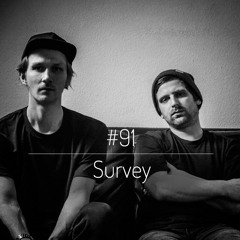 Big Up Mix 91 - Survey