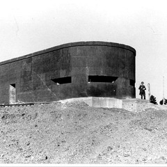 da ist eine schlange im luftschutzbunker