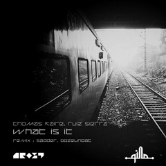Thomas Kaire, Ruiz Sierra - What Is It (QR029)