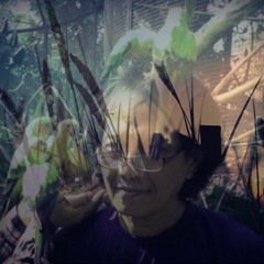 Daun Jatuh