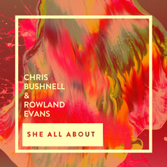 Chris Bushnell & Rowland Evans - She All About (Original Mix)