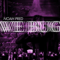 TLM100: Noah Pred - We Bug (Auk Remix)