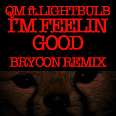 QM ft Lightbulb - I'm Feeling Good Brycon Remix