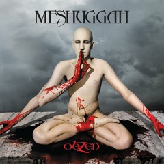 Ibanez RG8 Test (Lethargica - Meshuggah)