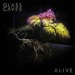Glass Caves - Driving Home
