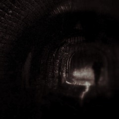 Guided by Darkness