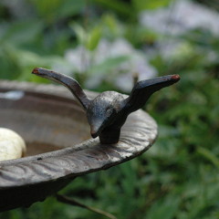 Qui Passera By The Electric Lesotho