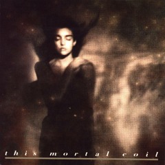 This Mortal Coil - Kangaroo