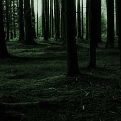 MOLOCH Gebrechlichkeit I (Burzum Cover)