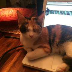 Big John Promo Teaser