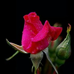 In memories of Paul Galmed Finey(MAGWEY)
