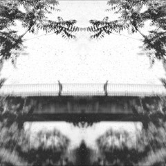 Yoko Duo - Blowfish (Lake People Remix)