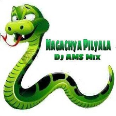 Nagachya Pilyala -AMS Mix.mp3