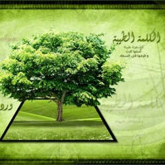 تلاوة بديعة من سورة إبراهيم لشيخ القراء المنشاوي رحمه الله
