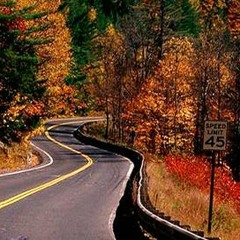 Diplotaxis - Oktober Mixtape