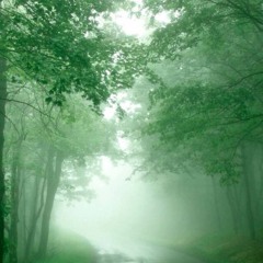 Where There's A Will, There's A Way