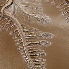 I Follow rivers / Likke li's cover