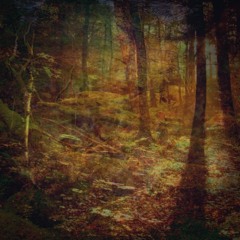 melodic techno dj-sets & live-acts