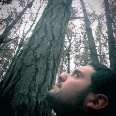 Pabellon Patrio 25 de Octubre, Parte 01