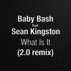 Sean Kingston feat. Baby Bash - What Is It (ILLYA 2.0 remix)[instrumental]