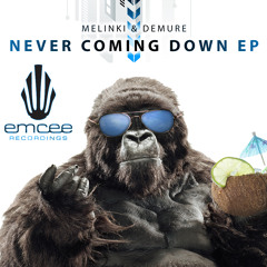 Melinki & Demure & Damien Soul feat Damien Soul - Never Coming Down