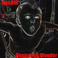 Beginning Wonder