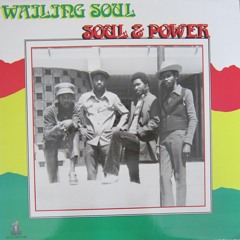Wailing Soul - Don't Fight It (with version)/ " Soul & Power "   LP