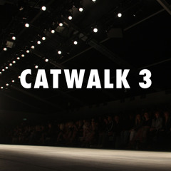 Catwalk 3
