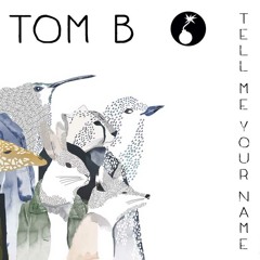 Tom B - Tell Me Your NAME (Promo November 2014)