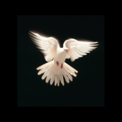 موسيقي بالناي