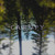 Artwork for Canopy