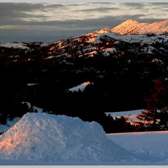 FIELDWORK: I report on the sound of snow, bird nests & mountain toads